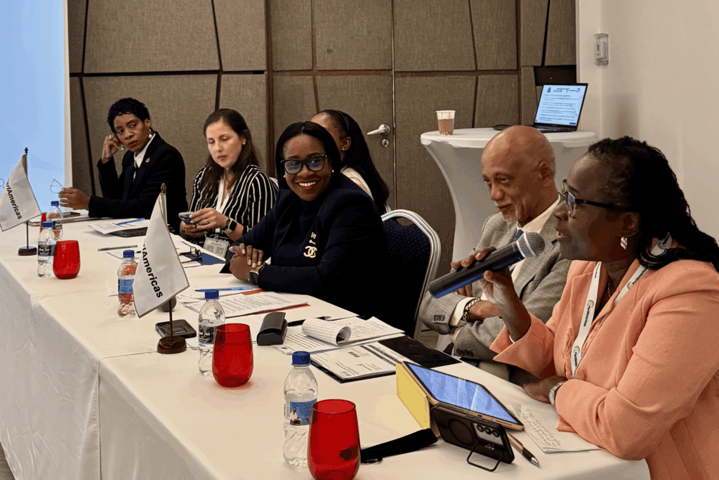 Panel of diverse professionals seated at a long meeting table with papers, laptops, flags, and a microphone on the right.