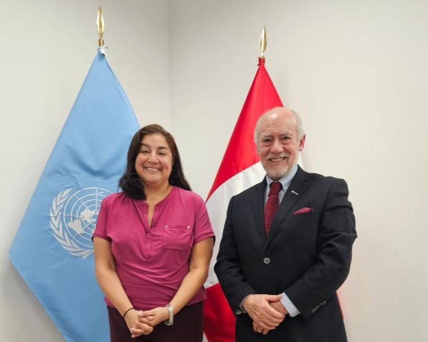 Two diplomats pose for a photo in front of UN and national flags, smiling at the camera, pink blouse and dark suit.