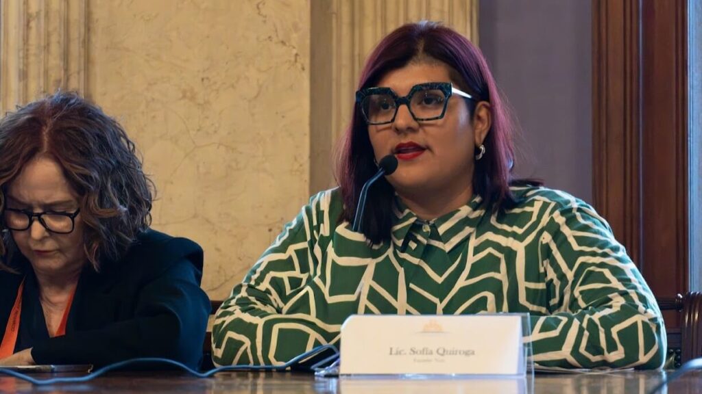 Panelist with purple hair and teal glasses speaks into a microphone; nameplate reads Lic. Sofia Quiroga in front of her at the conference table.