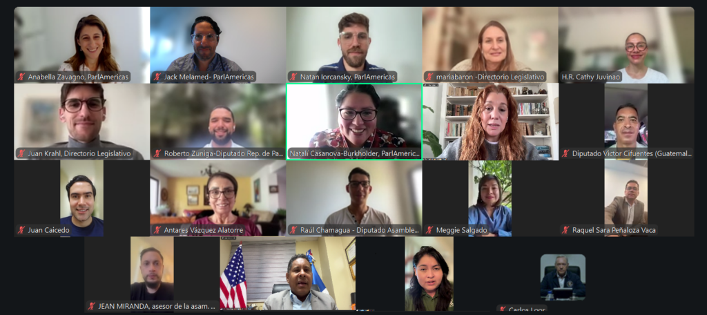 Video conference screenshot with about 20 participants in a grid, each tile showing a person’s face and a muted microphone icon, names visible under each tile (legislative/ParlAmericas meeting).