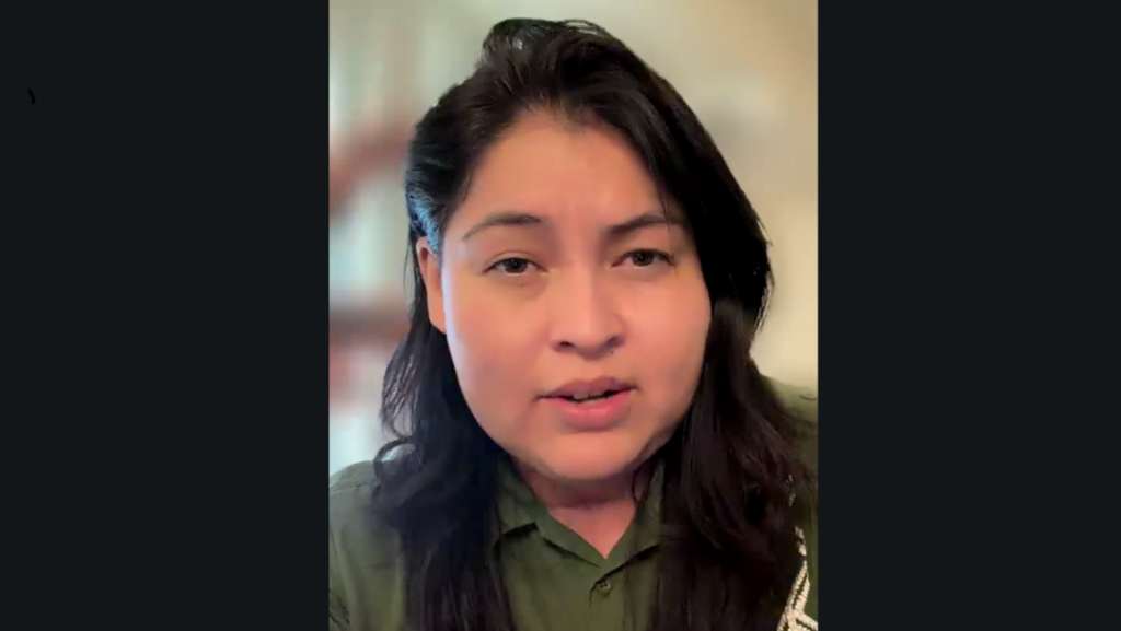 Close-up of a woman with dark hair wearing a green collared shirt, speaking during a video call.