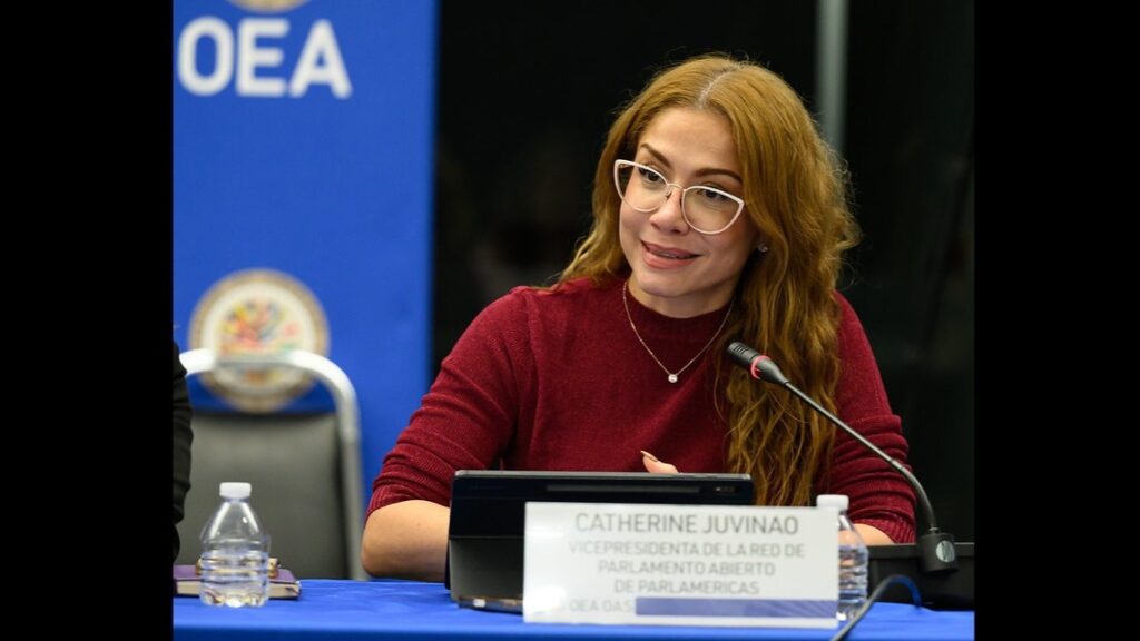 Woman with red hair and glasses sits at a panel, speaking into a microphone with a nameplate in front, at a conference backdrop labeled OEA.