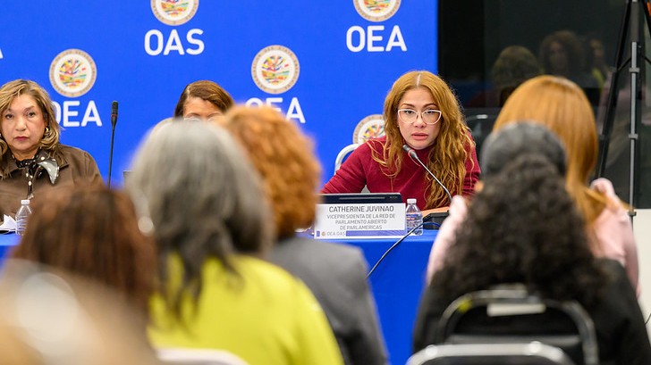 Panel of speakers at a press briefing with an OAS backdrop; woman in red with glasses speaks into a microphone next to a nameplate.