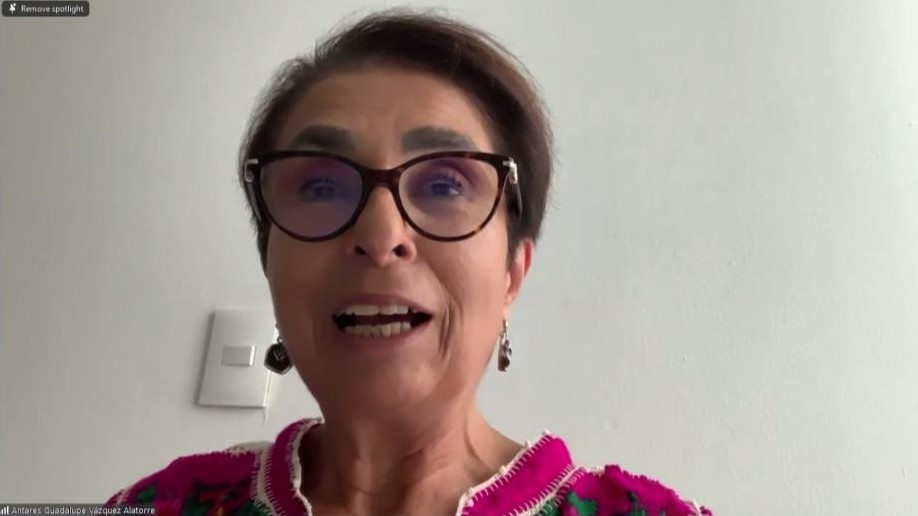 Close-up of a woman with short hair and dark glasses speaking during a video call, wearing a bright pink embroidered top and dangly earrings, against a light wall.